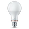 Lâmpada LED Philips Wiz A67 Smart E27 13 W 1521 Lm (6500 K)