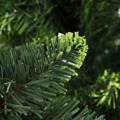 Árvore de Natal Artificial com Luzes LED e Pinhas 210 cm Verde