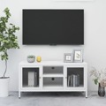 Móvel de Tv 105x35x52 cm Aço e Vidro Branco