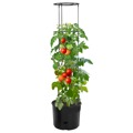 Vaso P/ Cultivo de Tomate Ø39x150 cm Polipropileno Antracite