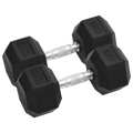 Halteres 2 pcs 30 kg Ferro Fundido