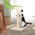 Poste Arranhador para Gatos 35x35x70 cm Cor Creme