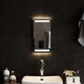 Espelho de Casa de Banho com Luzes LED 20x40 cm