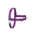 Arnês para Cães Red Dingo 30-42 cm Roxo XS