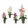 Planta Decorativa Orquídea Plástico (8 X 35 X 14 cm) (12 Unidades)