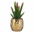 Planta Decorativa Cerâmica Dourado Catos Verde Plástico 6 Unidades