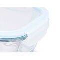 Lancheira Transparente Silicone Vidro de Borosilicato 2,2 L 27 X 9 X 22 cm (6 Unidades)