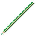 Lápis de Cores Staedtler Jumbo Noris Verde (12 Unidades)