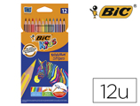 Lápis de Cores Bic Evolution Stripes Caixa de 12 Cores Sortidas