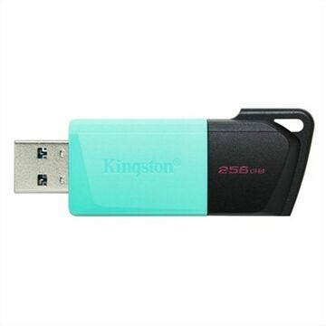 Memória USB Kingston Exodia M Preto 256 GB