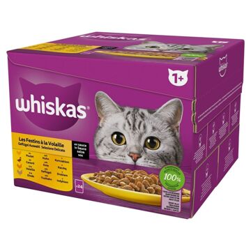 Comida para Gato Whiskas Poultry Feast Frango Peru Pato Pássaros 24 X 85 G