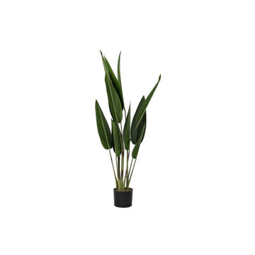 Planta Decorativa Dkd Home Decor Verde Pe (40 X 40 X 115 cm)