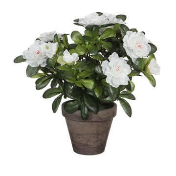 Planta Decorativa Mica Decorations 11,5 X 27 X 20 cm