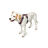 Arnês para Cães Hunter Maldon Up Cor de Rosa 38-62 cm