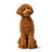 Coleira para Cães Hunter Love M 41-49 cm Vermelho