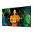 Monitor Videowall Samsung QH43C 43" LED Edge-led