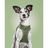 Arnês para Cães Gloria 45-47 cm Verde M 32,8-35,4 cm