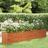 Vaso/floreira de Jardim 240x40x45 cm Aço Corten