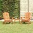 Conjunto Lounge de Jardim Adirondack Acácia Maciça 3 pcs